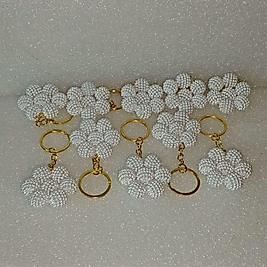 ( 10 ADET ) 1 PAKET PAPATYA GÜNLÜK KULLANIM ANAHTARLIK SETİ